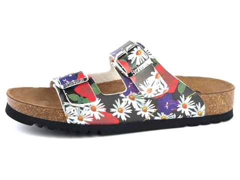 Scholl: Norden Poppy