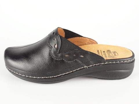 Scholl: Raffaella