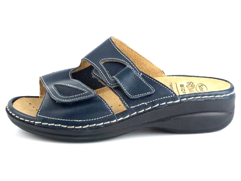 Scholl: Saula