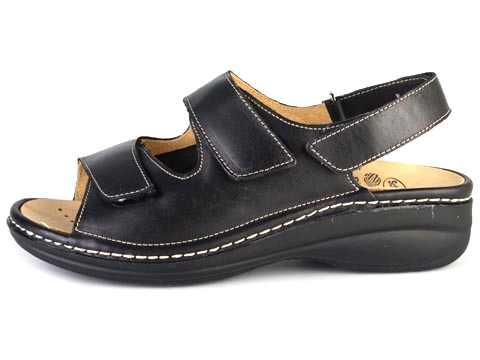 Scholl: Sirma