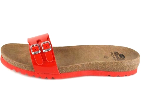 Scholl: Snake