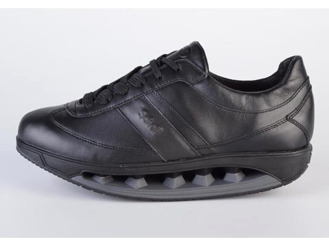 Scholl: Starlit