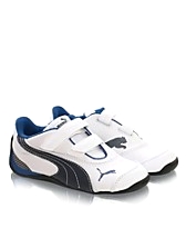 Shoe Drift Cat