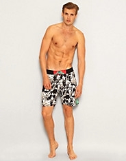 Shorts Jaws