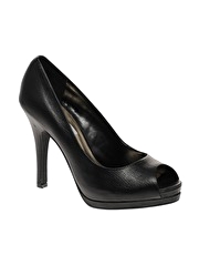 Steve Madden Pemilee Snake Shoe