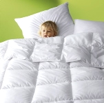 Täcke 300 g/m2 Téflon+Allerban