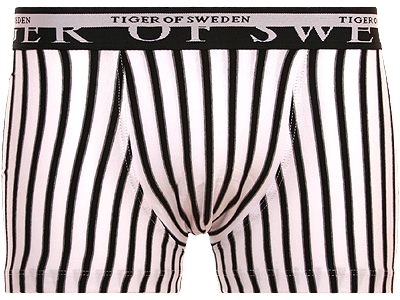 Tiger of Sweden - Straight Trunk White