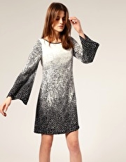 Warehouse Graduated Spot Print Shift Dress