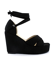 Wedge Canvas