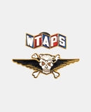 (W)TAPS - Brosch