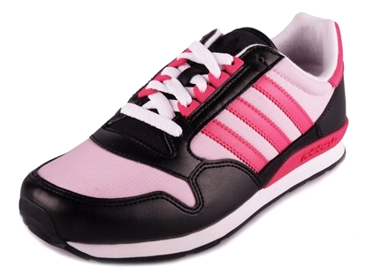 ZX 500