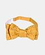 AQUASCUTUM - Slips - 3