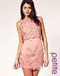 ASOS PETITE Premium Floral Applique Silk Organza Shift