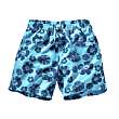 Badshorts - 15