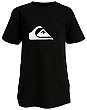 Basic Tee Logo Youth