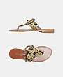 BEVERLY FELDMAN - Flip-flop skor