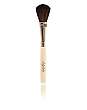 Blush Brush - 2