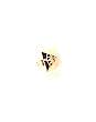 Compass Ring