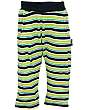 Darren Pant NB