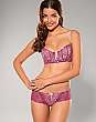 Dentelle Brief Culotte