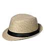 Dixie hat