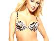 Dolce & Gabbana - Jungle Beat Push-up Bra Leo