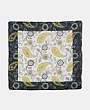 EPICE - Foulard