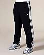 Essentials 3S Sw Pants