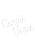 HEMMA "carpe diem" skylt 2 delar