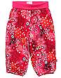 Olala Cord Pants - 4