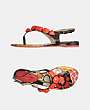 POETIC LICENCE - Flip-flop skor - 2
