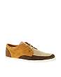 Pointer Barajas II Shoes
