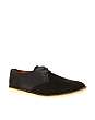 Pointer Crago II Shoes