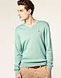 Polo Ralph Lauren V-Neck Jumper