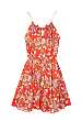 Poppy Gold Tube Dress by Zimmerman