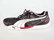 Puma: Clew