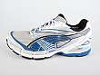 Puma: Complete Velosis 2