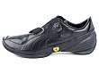 Puma: Furio V
