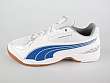 Puma: Vellum II