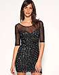 Rare Sheer Mesh & Metallic Rose Dress