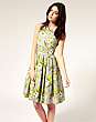 River Island Bird Embroidered '50s Dress