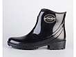 Scholl Contemporary: Geney
