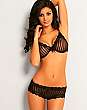 Sheer Ribbons Brief
