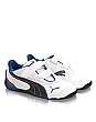 Shoe Drift Cat