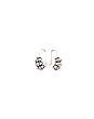 Silver Stone Earring