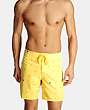 STUSSY AUTHENTIC GEAR - Badbyxor - 2