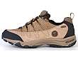 Timberland: Ossipee Trail