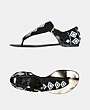 TRUSSARDI 1911 - Flip-flop skor